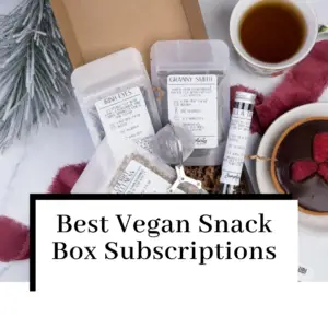 The Best Vegan Snack Box Subscriptions: Our Top 7 Picks
