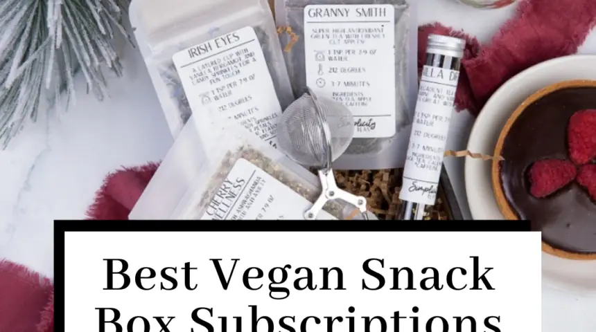 The Best Vegan Snack Box Subscriptions: Our Top 7 Picks