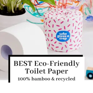 Recycled Toilet Paper: Why You Should Give a Crap