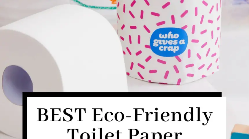 Recycled Toilet Paper: Why You Should Give a Crap